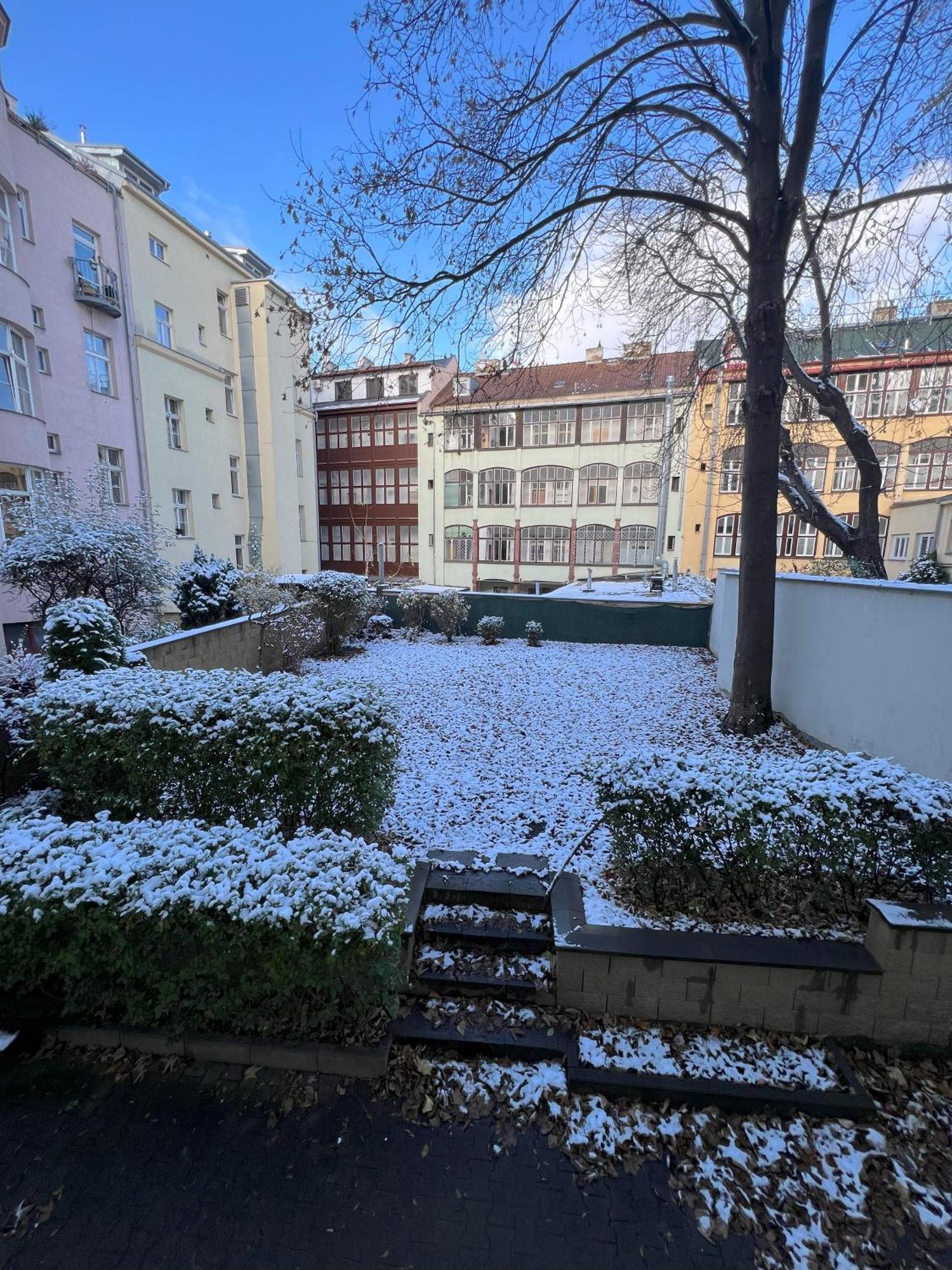 Cozy Garden Apartment In The Heart Of Prag Exteriör bild